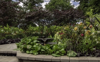 garden 1